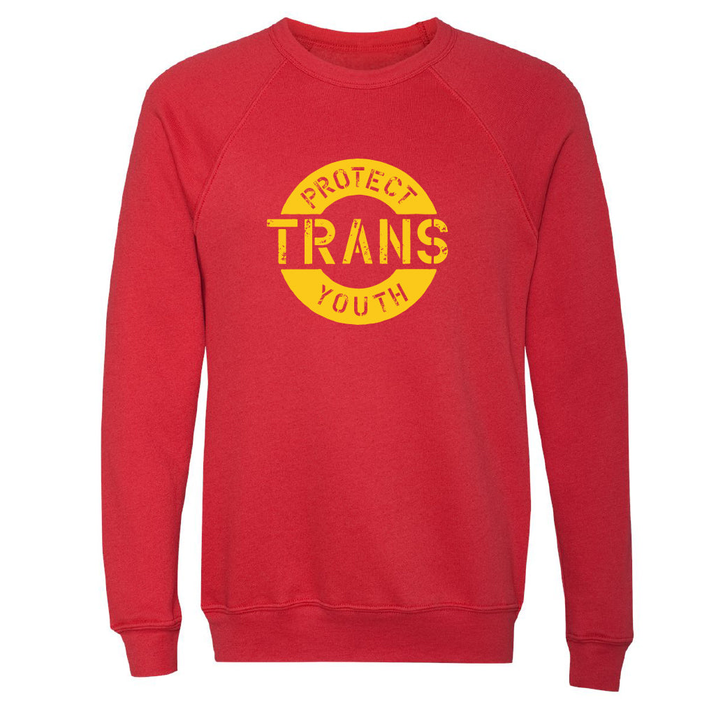 Protect Trans Youth Sweatshirt